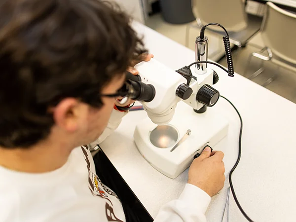 student using a microscope